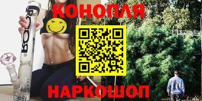 гидропоника Пугачёв